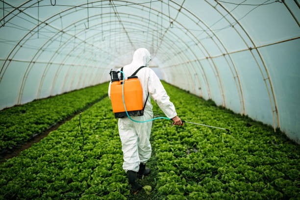 Best Mosquito Control Services  in Wade, MS