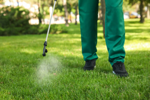 Reliable Wade, MS Pest Control Solutions