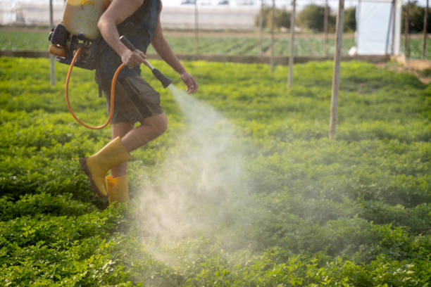 Best Pest Prevention Services  in Wade, MS