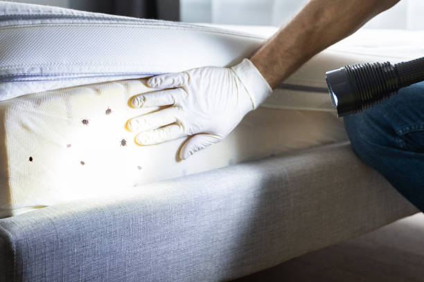 Best Residential Pest Control  in Wade, MS