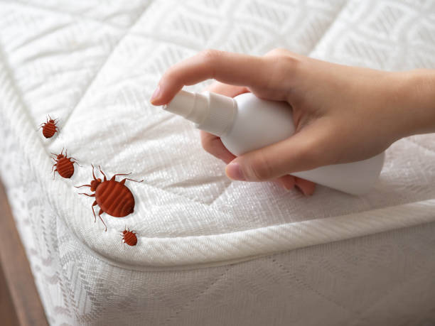 Best Bed Bug Extermination  in Wade, MS